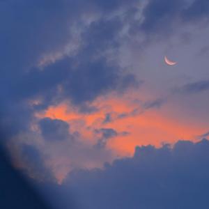 被老头添的欲死欲仙
